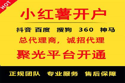 品牌信息流广告推广案例解析